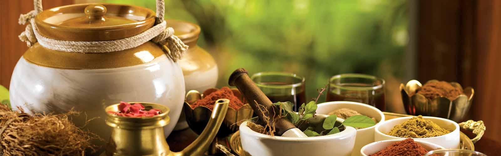 ayurveda1.jpg